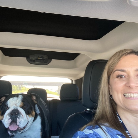 Meet Dani - Picture 2 of 4